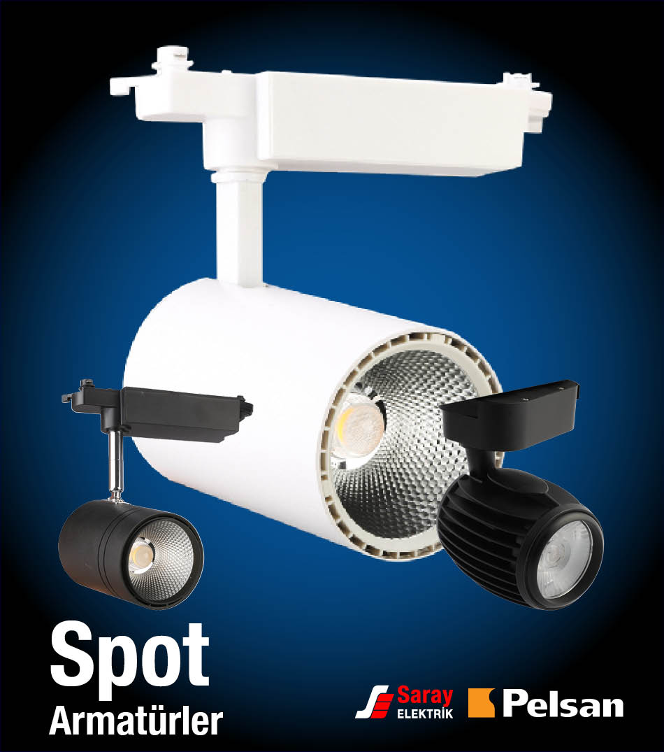 Pelsan Led Ray Spot