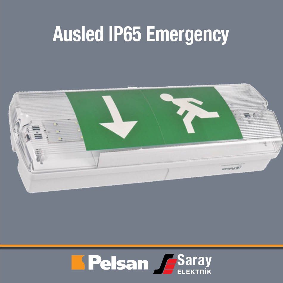 Pelsan Lambamia Ausled IP65 Emergency