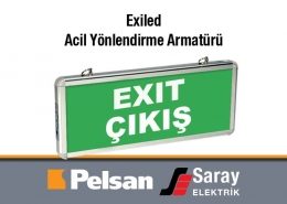 Pelsan Exiled Acil Yönlendirme Armatürü