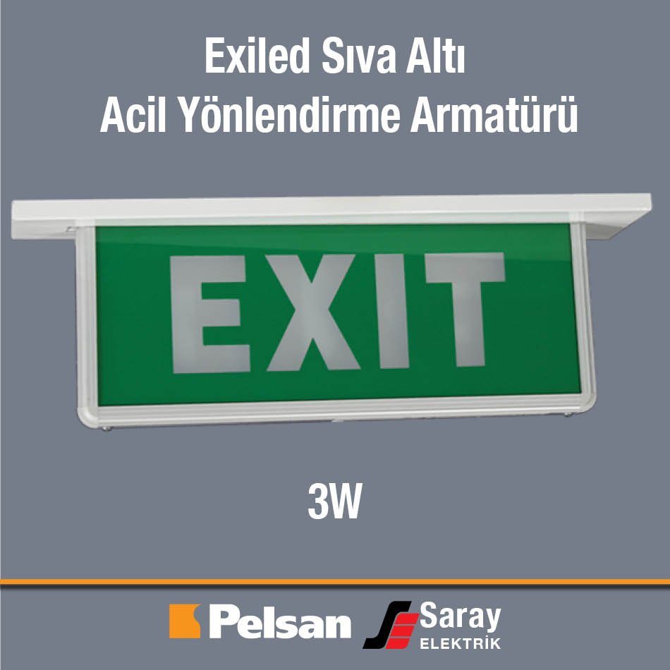 Pelsan Exiled Sıva Altı Acil Yönlendirme Armatürü