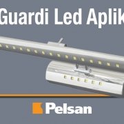 Pelsan Guardi Led Aplik