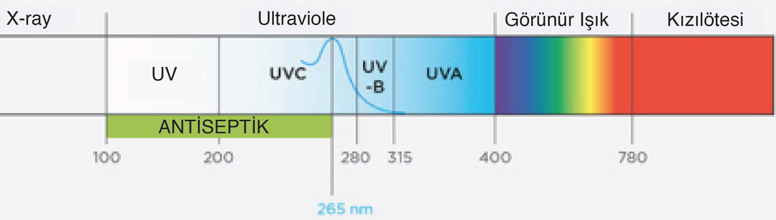 UV-C Etki Grafiği