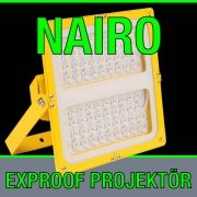 Pelsan Nairo Exproof Led Projektör