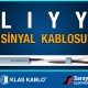 Klas Kablo LIYY Sinyal Kablosu