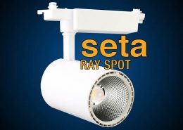 Pelsan Aydınlatma Seta Ray Spot