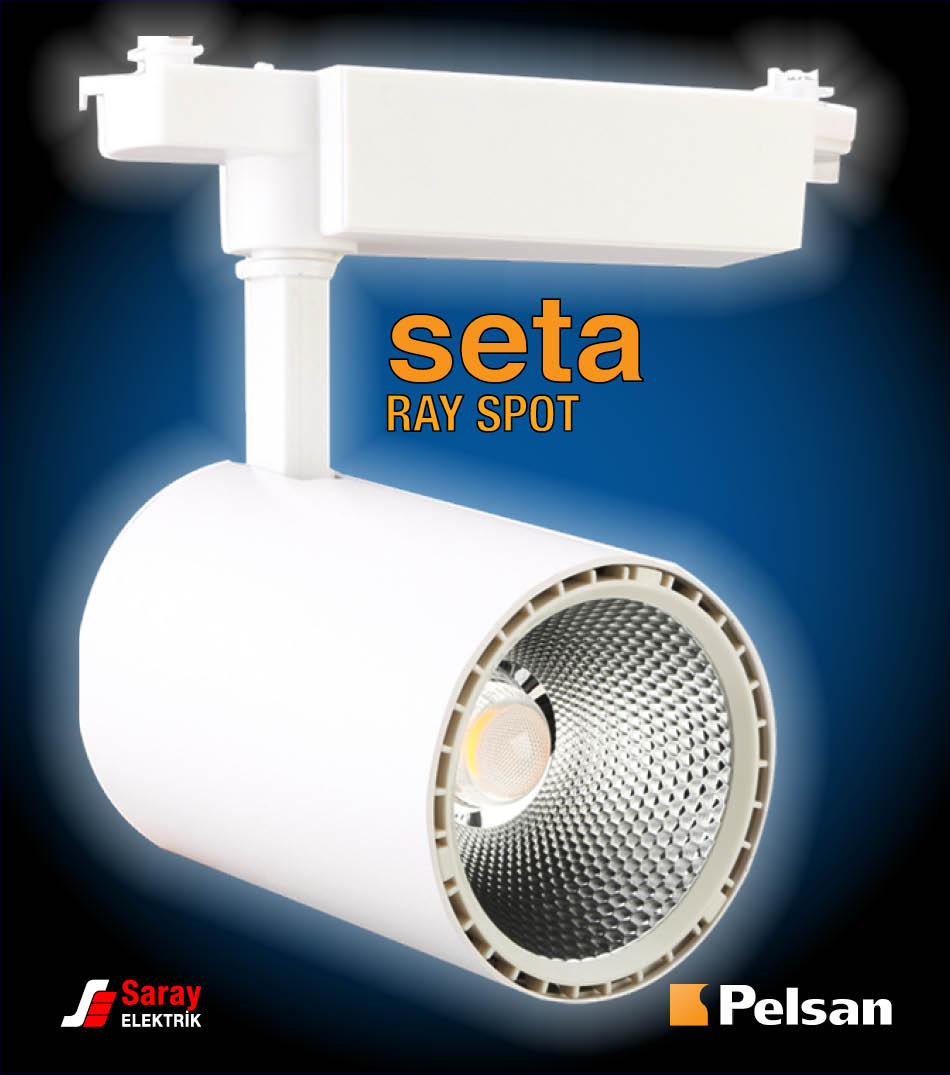 Pelsan Seta Ray Spot Armatür