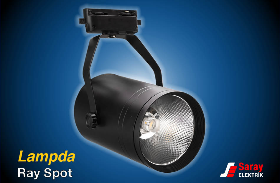 Pelsan Aydınlatma Lampda Ray Spot