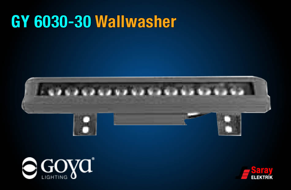 Goya Aydınlatma GY 6030-30