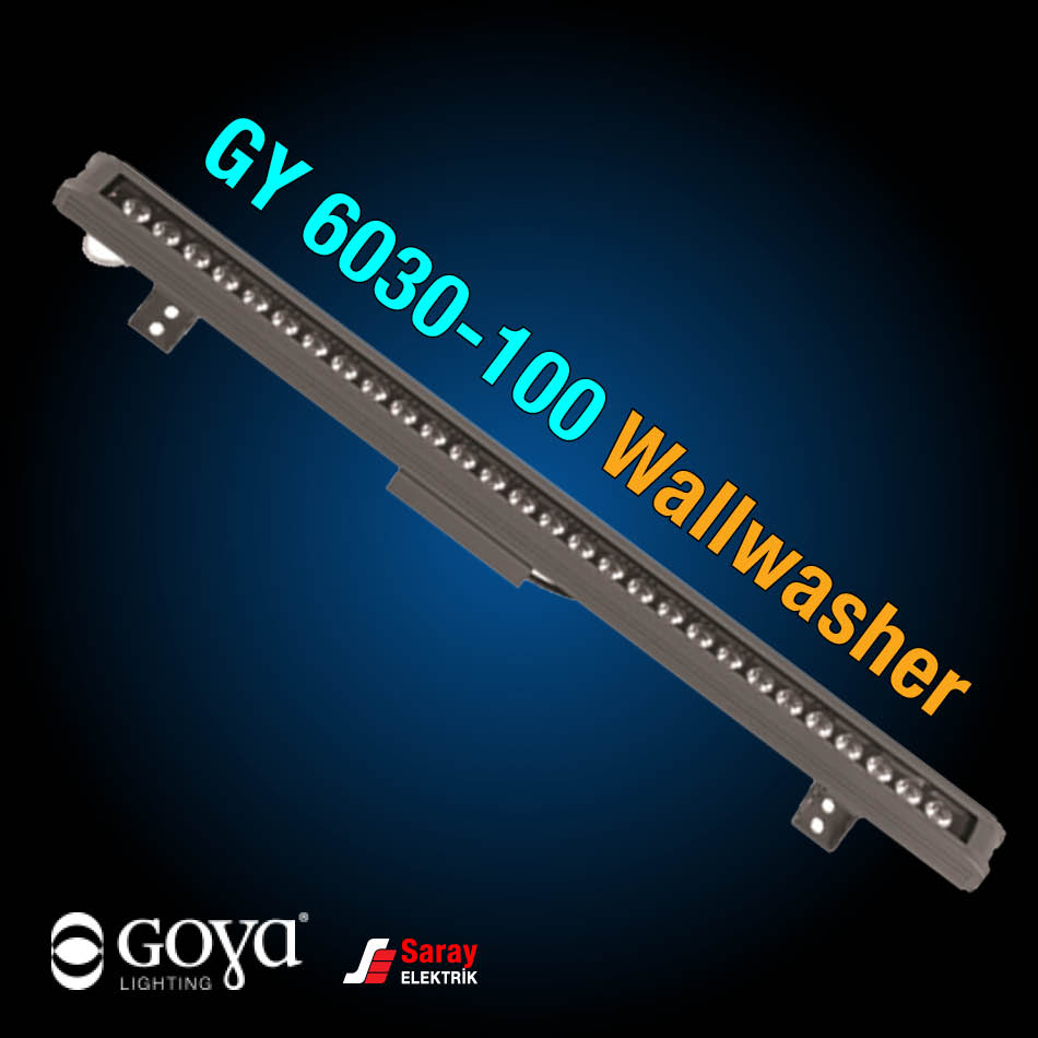 GY 6030-100 Wallwasher