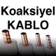 Koaksiyel Kablo Çeşitleri Perpa karaköy